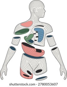 Fragmented human body outline with abstract internal organ shapes