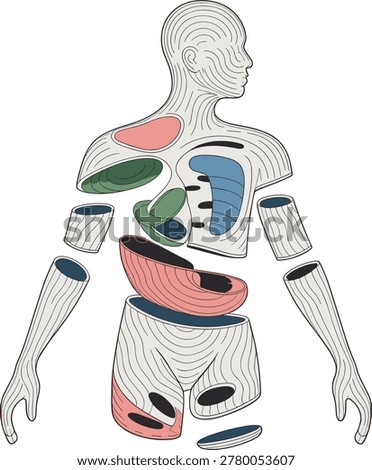 Fragmented human body outline with abstract internal organ shapes