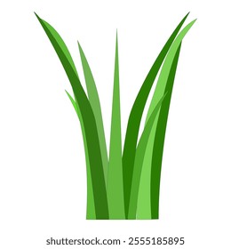 fragments of green grass. cartoon vector illustration