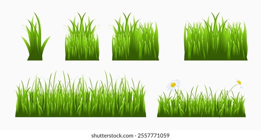 Fragments of green grass. Set of clumps of grass