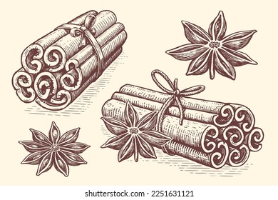 Fragrant cinnamon sticks, star anise. Spices and herbs, food concept. Hand drawn sketch vintage vector illustration