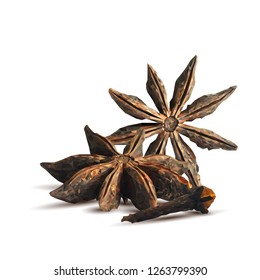 Fragrant clove and tasty anise star. Symbols of spice. Elements for design. Vector illustration. Spices ingredients in triangulation technique. Anise star and clove low poly.