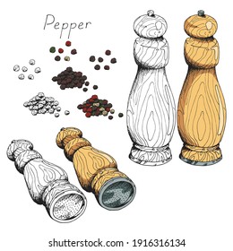 Fragrant corns of black pepper. Spicy hot condiment for cooking. Classic vintage wooden pepper mill. Tool for the kitchen. Isolated clipart set on white background. Hand-drawn ink sketch.