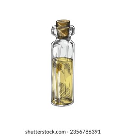 Fragrant essential oil in glass bottle, sketch style engraving vector illustration isolated on white background. Bottle with aromatic oil or herbal extract.