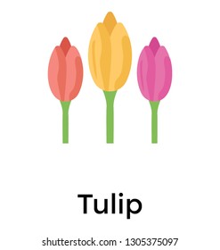 Fragrant flowers, tulips flat icon 