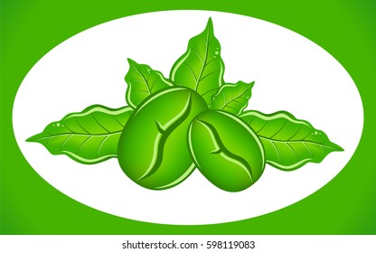 Fragrant grains of green coffee