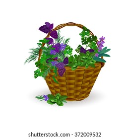 Fragrant herbs and spices in a wicker basket on a white background.