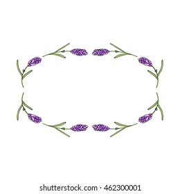  Fragrant lavender frame. Card/poster template. Hand drawn illustration. Vector.