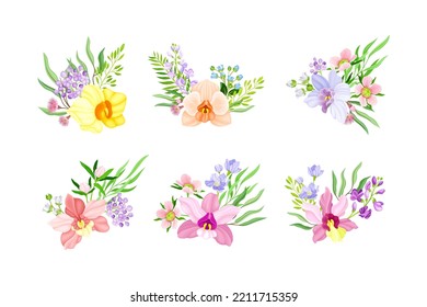 Fragrant Orchid Blooms with Labellum Arranged with Floral Branches Vector Set