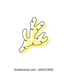 Fragrant spice root isolated one white. Ginger black contour drawing with abstract yellow color spot. Organic minimalist vegetable silhouette concept. Hand drawn continuous flat vector illustration