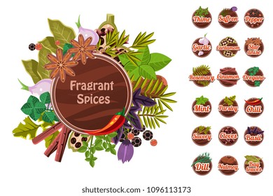 Fragrant spices set, thyme, saffron, pepper, garlic. cardamom, star anise, rosemary, cinnamon, oregano, mint, parsley, chilli, cloves, savory, basil, dill, nutmeg, bay leaf vector Illustration