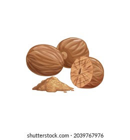 Fragrant or true nutmeg whole and powdered cartoon isolated icon. Vector pala edible seed, culinary spice, whole and grounded. Seed or ground spice of mace, seasoning or organic food ingredient