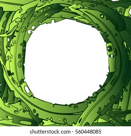 frame from algae on a white background