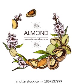 Frame with Almond kernels of nuts and a branch of almonds with nuts, fruits, flowers.