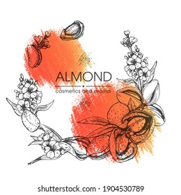 Frame with Almond kernels of nuts and a branch of almonds with nuts, fruits, flowers. Detailed hand-drawn sketches, vector botanical illustration.