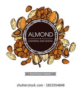 Frame with Almond kernels of nuts. Detailed hand-drawn sketches, vector botanical illustration.