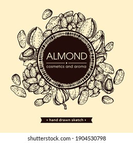 Frame with Almond kernels of nuts. Detailed hand-drawn sketches, vector botanical illustration.