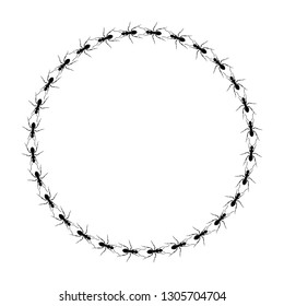 Frame from ants going in a circle. Path ants on circle. Ant trails. Vector illustration