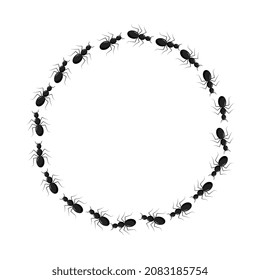 Frame from ants going in a circle. Path ants on circle. Ant trails.