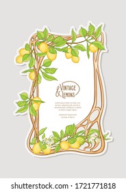 Frame in art nouveau style with lemon fruits and flowers branches. Good for product label. Colored vector illustration..