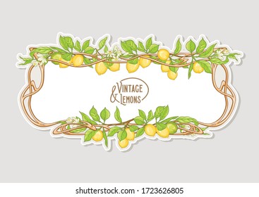 Frame in art nouveau style with lemon fruits and flowers branches. Good for product label. Colored vector illustration..