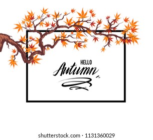 Frame autumn leaves