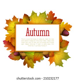 Frame of autumn leaves