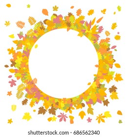 Frame of autumn leaves.