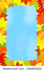 Frame of autumn leaves against the sky.