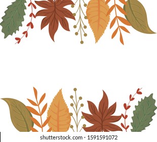 Frame of autumn leaves design, season nature ornament garden decoration and botany theme Vector illustration