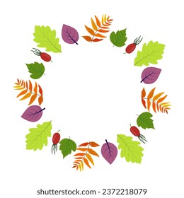 Frame with autumn leaves and fruits. A wonderful decor for greeting cards, invitations, saving dates, inscriptions, photos. Vector illustration in the shape of a circle.