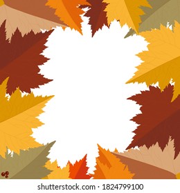 Frame of autumn leaves on a white background. Vector illustration.