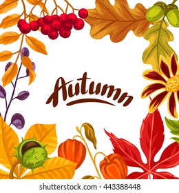 Frame with autumn leaves and plants. Design for advertising booklets, banners, flayers, cards.