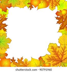 The frame of autumn leaves vector