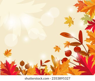 Frame with autumn maple leaves and rowan branches on a light background with sun glare. Autumn illustration, vector	
