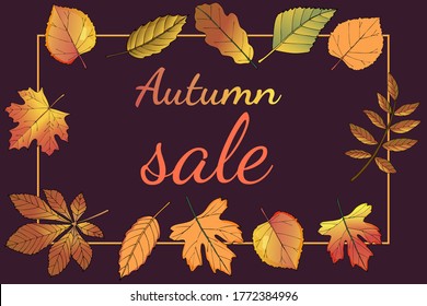 Frame Autumn sale.On a dark background with leaves Golden purple yellow and red.Sale ads.vector illustration.