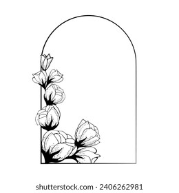 Frame background in an arch of roses. Hand drawing. For decoration of stylized backgrounds, postcards, printing, for editing, to complement modern original design. Vector