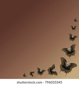 Frame. Background from butterflies. Group of butterflies on a brown gradient