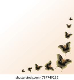 Frame. Background from butterflies. Group of butterflies on a pale beige gradient