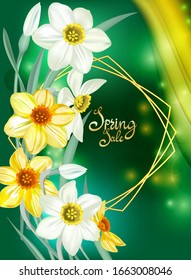 Frame, background of flowers of narcissus, daffodils . Decorative greeting card , happy birthday, wedding, happy mother 's day, advertising, sales, discounts, labels