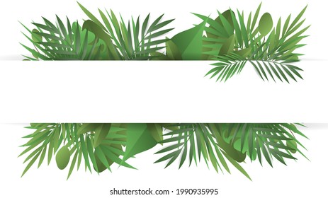 Frame background with plants and leaves with copy space, isolated on white color background , Vector Illustration EPS 10