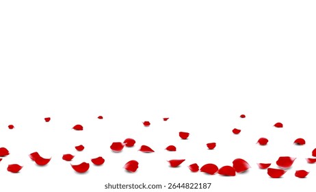 Frame background romantic event with realistic red rose petals on floor vector. seamless horizontal elegant