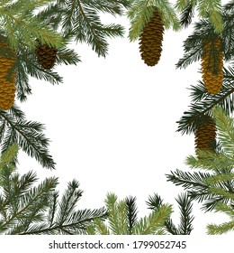 Frame background of spruce twigs with cones. Vector illustration