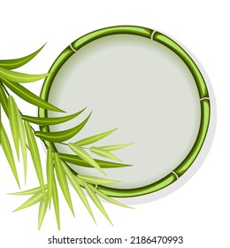 Frame with bamboo decor.Colored vector illustration with a frame made of bamboo and leaves.