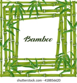 Frame with bamboo plants and leaves. Design for cards, flayers, brochures, advertising booklets.