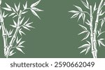 Frame with Bamboo tree , Hand drawn style. Vector.	
