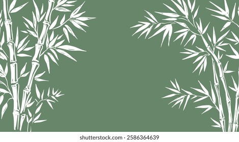 Frame with Bamboo tree , Hand drawn style. Vector.	