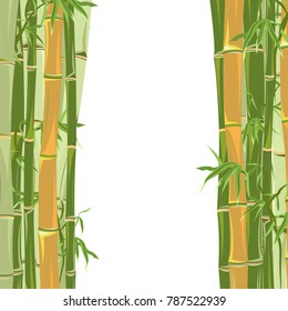 frame of bamboo with white background