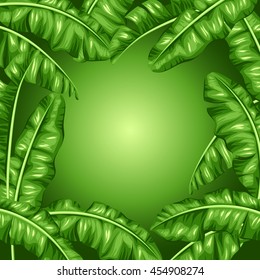 Frame with banana leaves. Image of decorative tropical foliage.