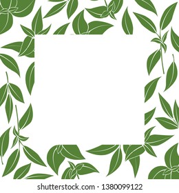 Frame Basil Branches Vector Illustration Herbs Stock Vector (Royalty ...